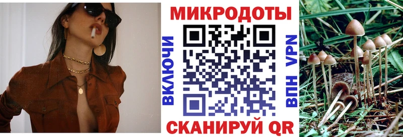 Псилоцибиновые грибы MAGIC MUSHROOMS  Купить закладки  Камызяк 